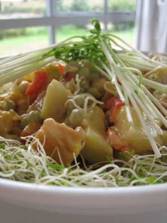 Kumara Sprouts Salad